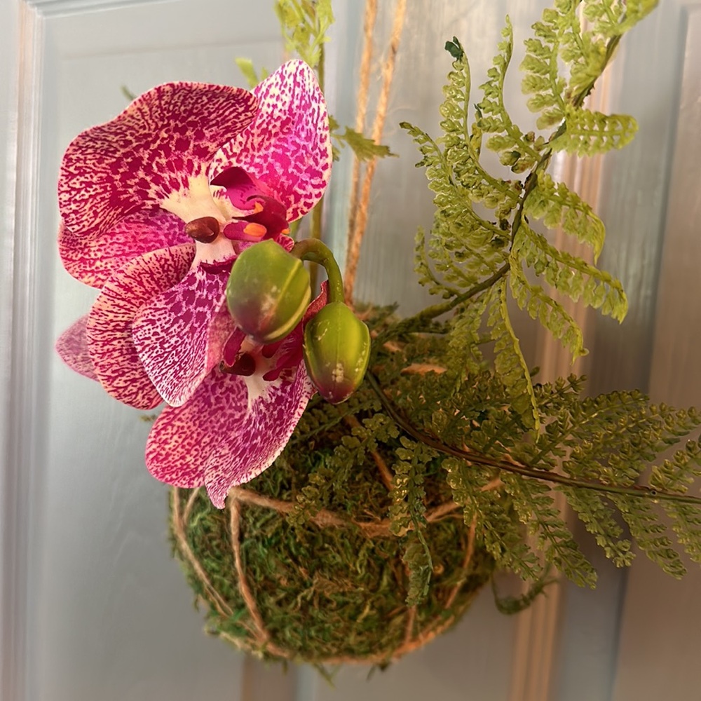 NWT Kokedama (moss ball) with Faux Orchids & Ferns 12x13”